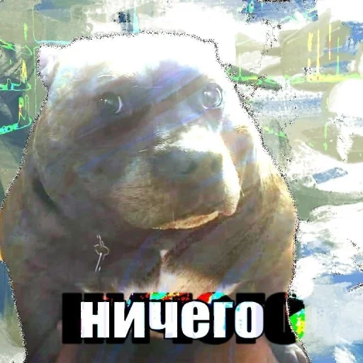 🤩 Стикер «Пэп» для Telegram
