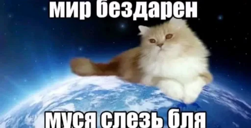 🤩 Стикер «Пэп» для Telegram