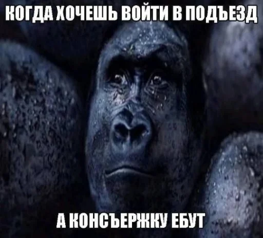 🤩 Стикер «Пэп» для Telegram