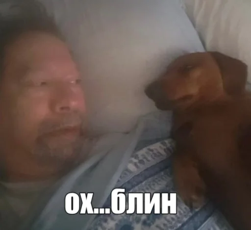 🤩 Стикер «Пэп» для Telegram