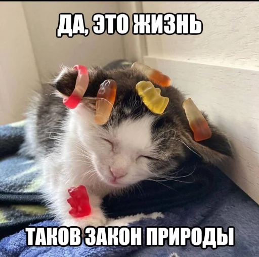 🤩 Стикер «Пэп» для Telegram