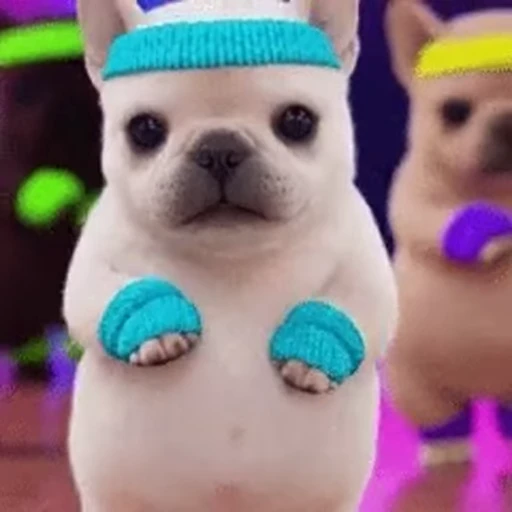 💪 Стикер «I am Pibble» для Telegram