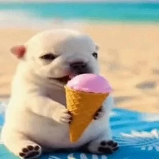 🍦 Стикер «I am Pibble» для Telegram