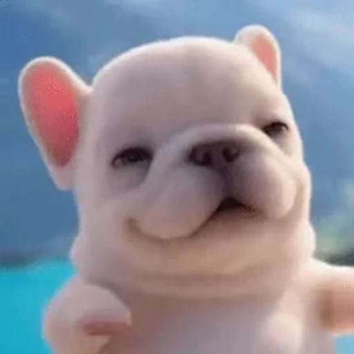 ☺️ Стикер «I am Pibble» для Telegram
