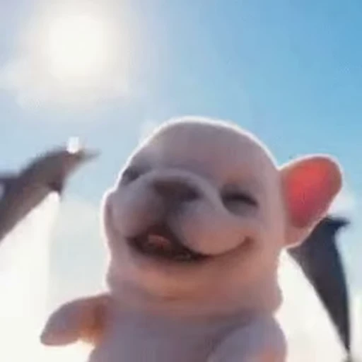 🤩 Стикер «I am Pibble» для Telegram