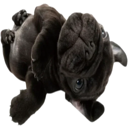 🐶 Стикер «Pibble» для Telegram