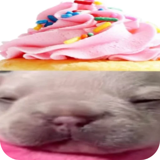 👍 Стикер «Pibble» для Telegram