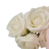 Стикер 31 Pink