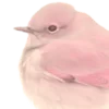Стикер 45 Pink