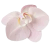Стикер 47 Pink