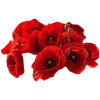 Стикер 27 Slavic Red Vibe