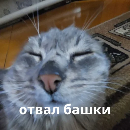 😵‍💫 Стикер «Ebatь Raznos Nahyi» для Telegram