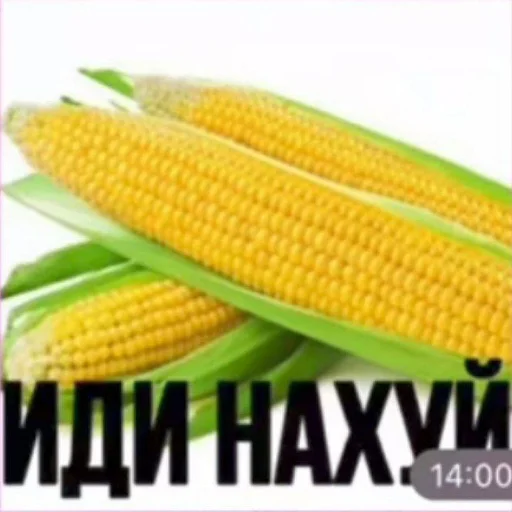 😎 Стикер «Ebatь Raznos Nahyi» для Telegram