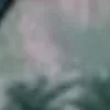 Стикер 27 Планктон