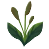 Стикер 31 Plants
