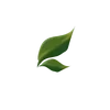 Стикер 16 Plants