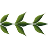 Стикер 10 Plants
