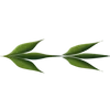 Стикер 11 Plants