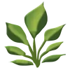 Стикер 14 Plants