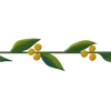 Стикер 33 Plants