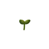Стикер 44 Plants
