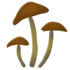 Стикер 41 Plants