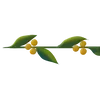 Стикер 32 Plants
