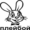 Стикер 48 Playboy