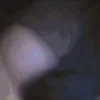 Стикер 28 Playboi Carti