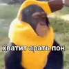 Стикер 26 Пон