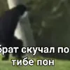 Стикер 11 Пон