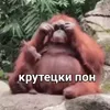 Стикер 24 Пон