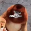 Стикер 27 Пон