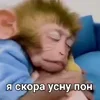 Стикер 4 Пон