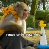 Стикер 14 Пон