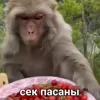 Стикер 9 Пон