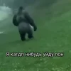 Стикер 25 Пон