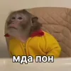 Обложка пака