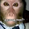 Стикер 23 Пон