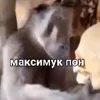 Стикер 3 Пон
