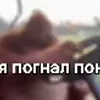 Стикер 2 Пон