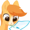 Стикер 38 Pony
