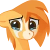Стикер 23 Pony