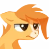 Стикер 24 Pony