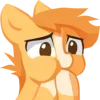 Стикер 31 Pony