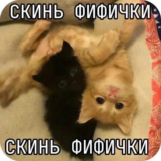 🫥 Стикер «Попа антилопа» для Telegram