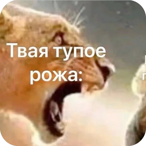 🫥 Стикер «Попа антилопа» для Telegram