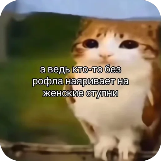 🫥 Стикер «Попа антилопа» для Telegram