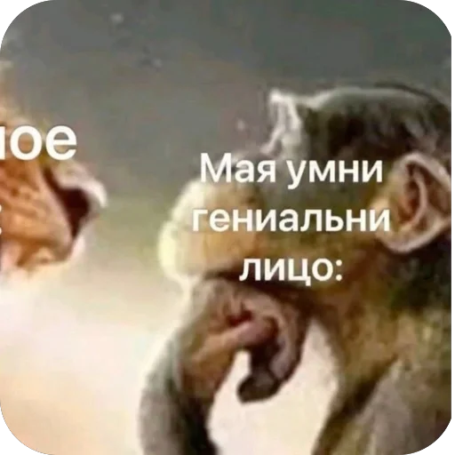 🫥 Стикер «Попа антилопа» для Telegram