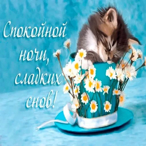 ❤️ Стикер «Пора спать» для Telegram
